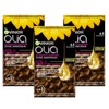 Garnier Olia 6.3 Caramel Brown Permanent Hair Colour without Ammonia,