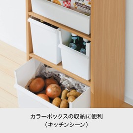 LIKE-IT JT-07 Storage Case, Retort Food Storage, Small Storage, Container, Wide Color Box Rail Parts, White, For JT-01, 02, 03