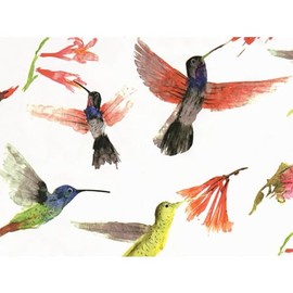 Hummingbirds Tissue Paper, 20in. X 30in. Sized Sheets - 120 Sheets