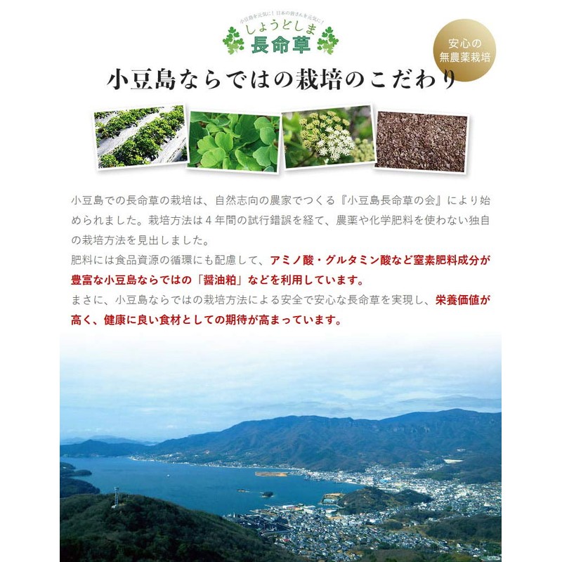 Godoshima Long Life Grass 1.1 oz (30 g) 2 Bags