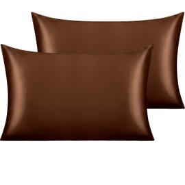 NTBAY 2 Pack Satin Standard Pillowcases for Hair and Skin, Luxurious and Silky Pillow Cases with Envelope Closure, 20x26 Inches, Brown