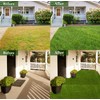 Realistic Thick Artificial Grass Turf Lawn -Indoor Outdoor Garden Lawn