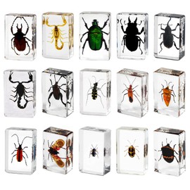 15pcs Preserved Insects, Taxidermy Bug Insect Specimens in Resin for Closer-Look & Study, Science Classroom Specimen Educational for Preschool Home Office Display Decor (Small 15pcs Insects)