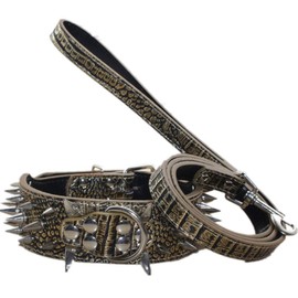 haoyueer 2 inch in Width Leather Sharp Spiked Studded Dog Collar & Leash 2Pcs Matching Set Fit for Medium & Large Dogs Pitbull Husky Mastiff Terrier(Gold Brown,M)