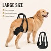 Adjustable Dog Rear Leg Lift Harness – Padded Hind Leg