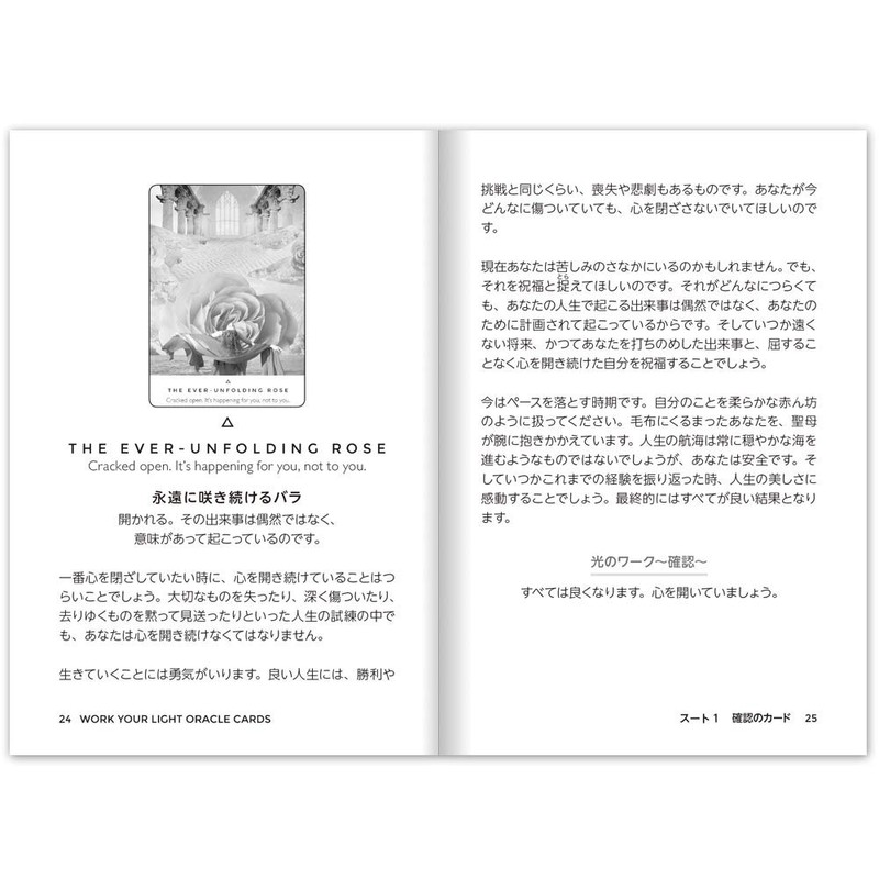 Work Your Light Oracle Card, Japanese Instruction Manual Included, Direct