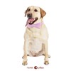 (S, Pink grid) - Lionet Paws Dog And Cat Collar