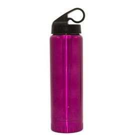 Silver Buffalo NL100596 Double-Wall Stainless Water Bottle, Purple,20 oz, 20-oz, NL100496