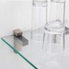 Wolfride 4 Count Silver Zinc Alloy Glass Shelf Wall Mount