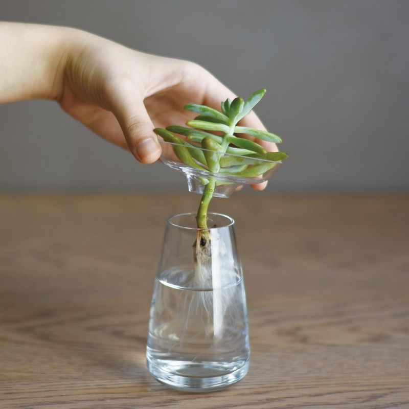 KINTO (キントー) アクアカルチャーベース 120mm クリア フラワーベース ギフト プレゼント 20843