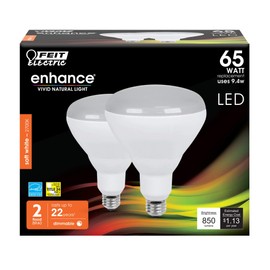 LED FEIT BR40 65W EQ SW