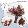 Natural Dried Preserved Willow Eucalyptus, Real Plant, for Wedding, Home