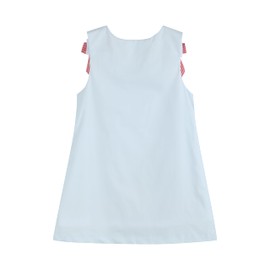 Lil cactus Light Blue Barnyard A-Line Dress, 5 Years