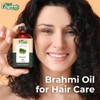 ORGANIC ZING Organic Zing Brahmi (Bacopa monnieri) Oil | Pure