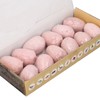 12 Set Dinosaur Egg Dig Kit Dinosaur Egg Excavation Kit