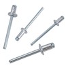Assorted Blind Pop Pot Rivets Set Fastener Fastening Metric 3.2