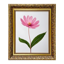 Aryllis Premium Range 7x5 Photo Frame, Gold, Free-standing & Wall Mountable Lightweight Picture Frame with Perspex Front