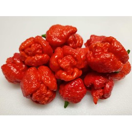 Trinidad Moruga Scorpion 6 Dried Peppers