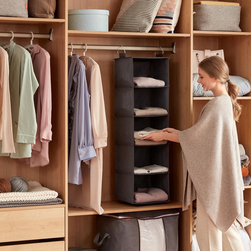 Lifewit Hanging Shelf with 5 Compartments, Closet Organizer with 2