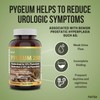 Herba Pygeum Supplement 200mg – 100 Capsules | Standardized to