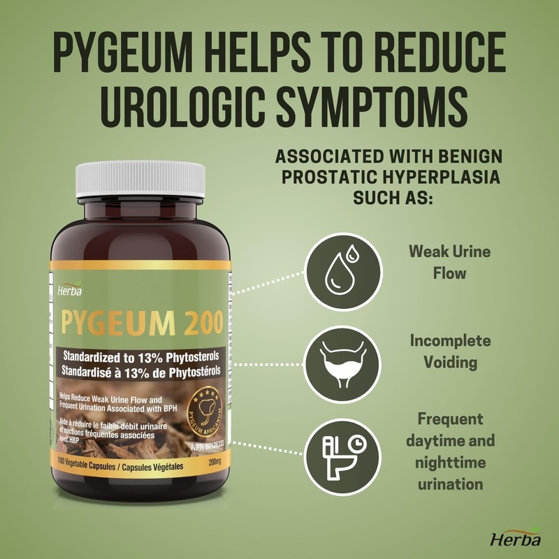 Herba Pygeum Supplement 200mg – 100 Capsules | Standardized to