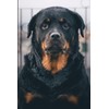 Rottweiler Notebook: Beautiful Rottweiler Dog Journal Diary Size 6"x 9",