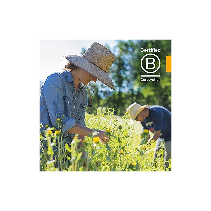 Herb Pharm Red Root Liquid Extract for Cleansing and Detoxifying