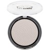 Master Holographic Powder