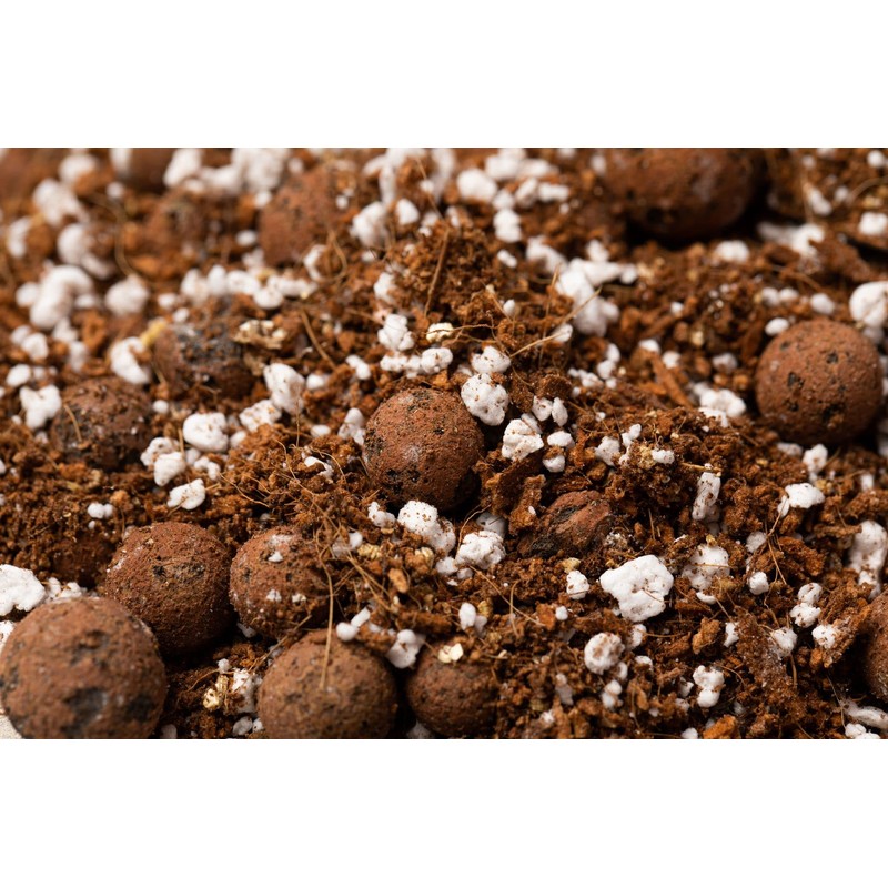 rePotme Succulent Soil - Jade Plant Succulent Potting Soil Mix