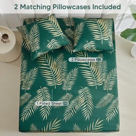 Tokokimo Fitted Sheet 180 x 200 cm 2 People, 35 cm Hat with 2 Pillowcases 65 x 65 cm Soft Microfibre Fitted Sheet with Tropical Leaf Pattern, Dark Green