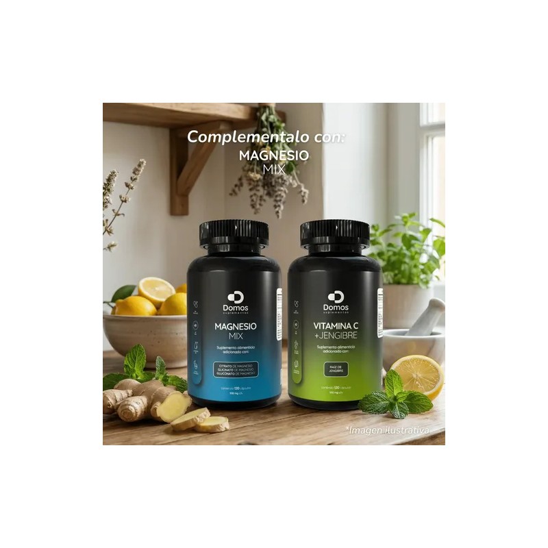 Domos Vitamina Raíz Jengibre 120 Cápsulas 500