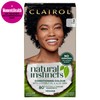 Clairol Natural Instincts Semi-Permanent No Ammonia Hair Dye, 2 Black