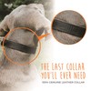 Mighty Paw Martingale Dog Collar - No Pull Design -