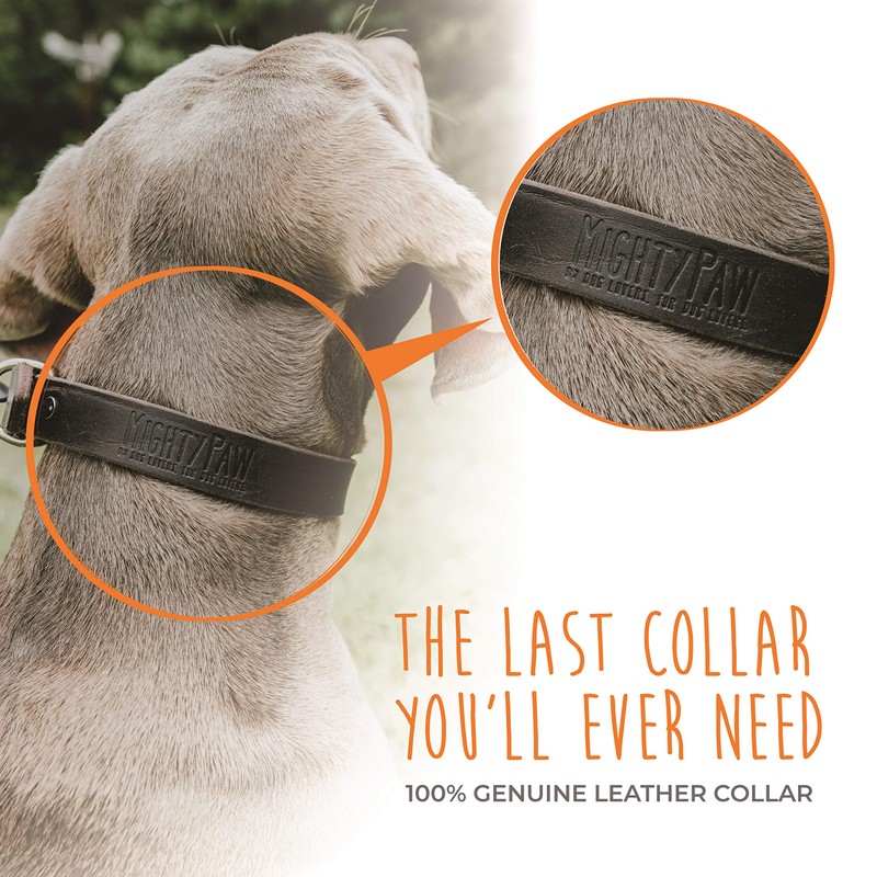 Mighty Paw Martingale Dog Collar - No Pull Design -