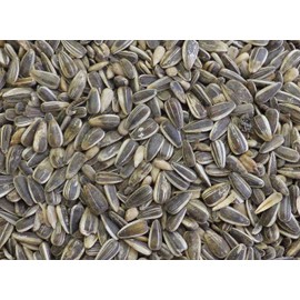 DelightFood Bulk Black Striped Sunflower Seed for Birds, Wild Bird Feed (2 Pound (Pack of 1))