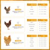 SORENCUT 17.7 Inch Metal Chicken Ball Cage, Large Rolling Chicken