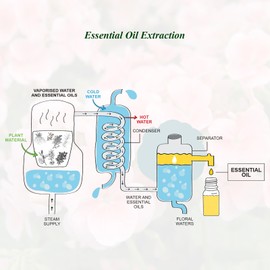 Geranium Essential Oil Mumianhua Pure Geranium Oil Therapeutic Grade Essential Oils for Diffuser, Humidifier, Soap, Perfume, Candle Making, Hair, Skin, Aromatherapy, Home, Air Purifier 100ml