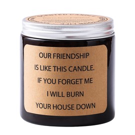 PMCDS2G Scented Candles Best Gift for Men & Women Birthday 14oz 100hour Long Burn Time Lavender Fragrance (Our Friendship is Like This Candle. IF You Forget ME I Will Burn Your House Down)