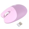 Wireless Mouse BT5.1 Or 2.4GHz Silent Click Adjustable DPI Auto