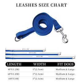 HOUGAK Durable Dog Leash for Medium & Large Dogs, 4FT/6FT/10FT Nylon Leash with Comfortable Handle, O-Ring & Zinc Alloy Hook, Anti-Tangle Design for Walking, Exploring, Outdoor Adventures(Blue, 4ft)