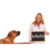 Natural Arnica (Arnica Montana) Oil For Dog & Cat 100ml: