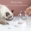 Double Dog Cat Bowls Anti Vomiting, Elevated Cat Food Water