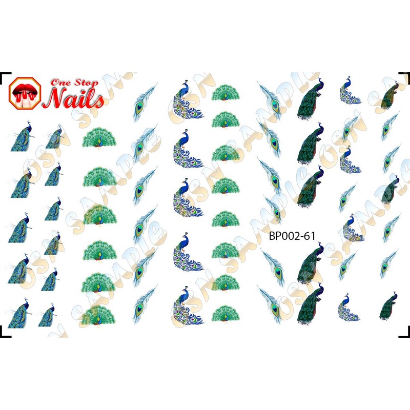 Peacock and peacock feathers clear waterslide nail art decals. Set