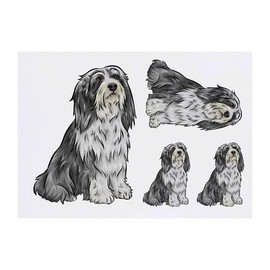 4 x 'Bearded Collie' Temporary Tattoos - Water Resistant, Skin-Safe, Non-Toxic Transfers, Mixed Sizes (TO00044845)