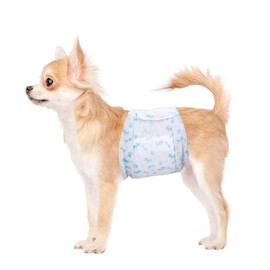 Flying Paws Male Dog Diapers - Absorbent Dog Wraps Belly Bands for Male Dogs with Leak Protection, Excitable Urination, Incontinence, or Marking, Medium 44 Pcs