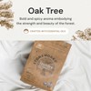 Grab Green Stoneworks Laundry Detergent Pods, 100 Count, Oak Tree