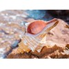Giant Natural Conch Shell, Striped Fox Conch Seashell 1 Shell