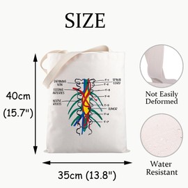 JXGZSO Spine Anatomy Tote Bag Chiropractor Gift Orthopedic Spine Surgeon Shopping Bag Spine Surgery Lumbar Recovery Gift, Spine Anatomy, Large