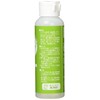 ASINA BB Brush Clin, 4.6 fl oz (118 ml), 12405021