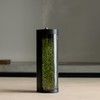 Mosslab Moss Air – Living Moss Terrarium Humidifier | Soothing